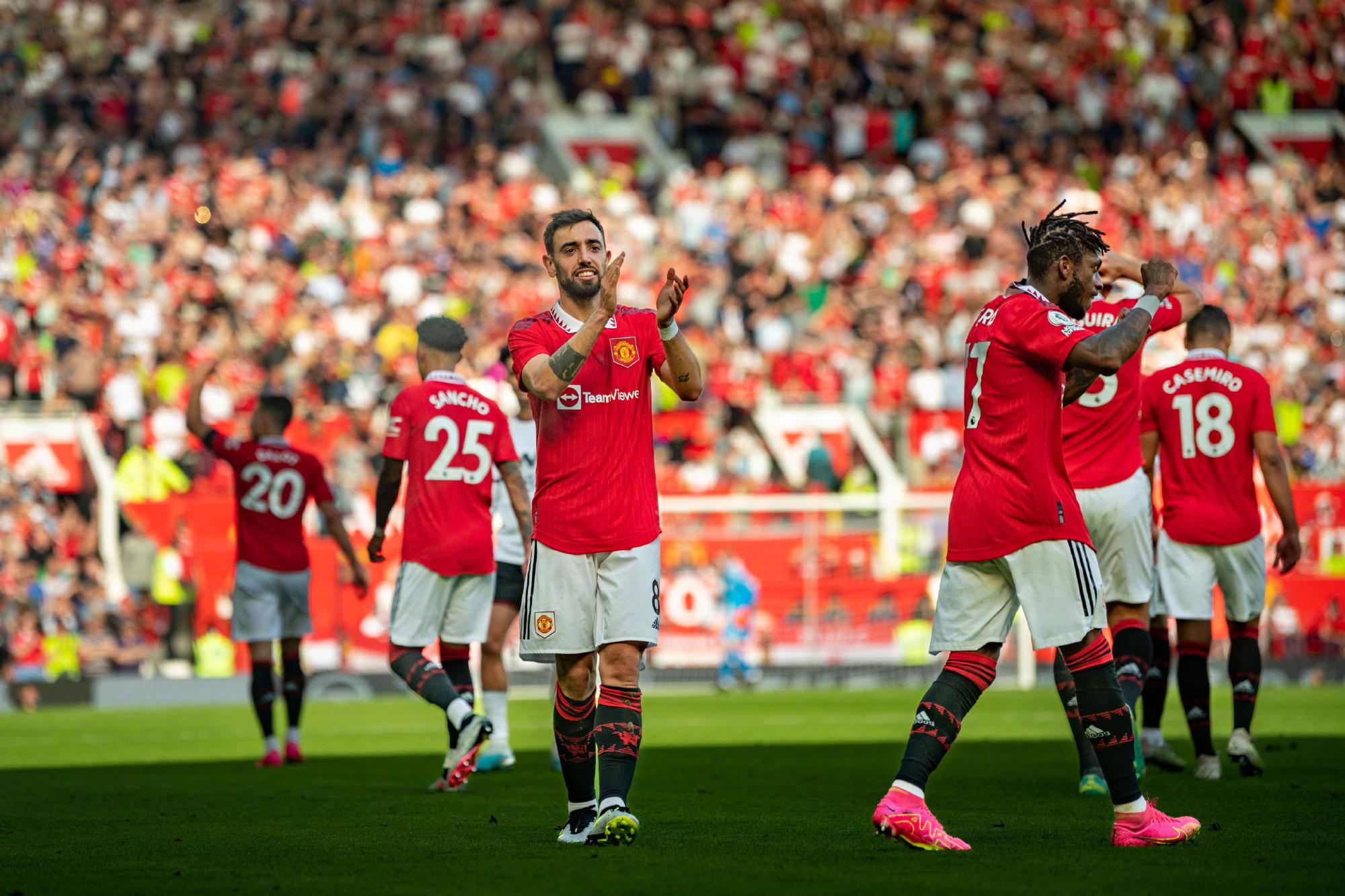 好地感受比 好地感受比